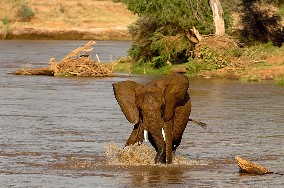 Kenya-LRH_0408