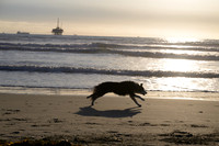 Permann-Beach-Dec2025