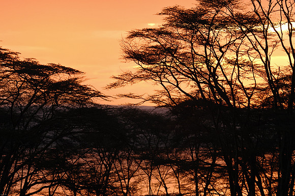 Kenya-LRH_0192
