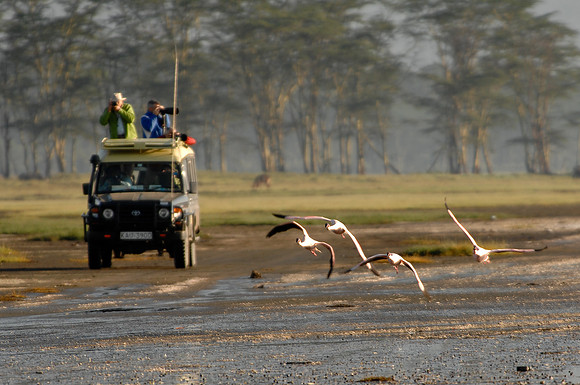 Kenya-LRH_0364