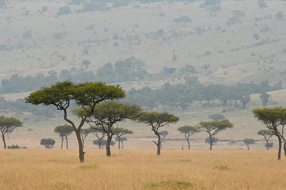 Kenya-LRH_0213-2