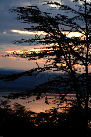 Kenya-LRH_0220