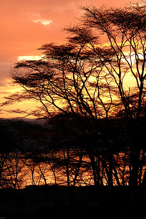 Kenya-LRH_0199