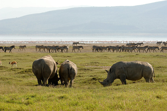 Kenya-LRH_0271