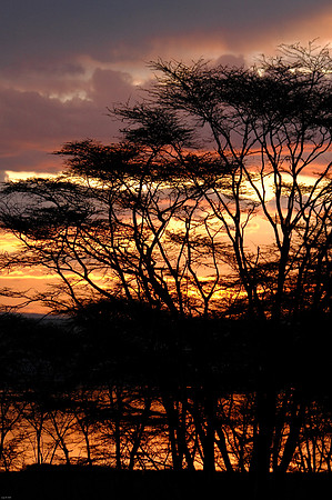 Kenya-LRH_0213