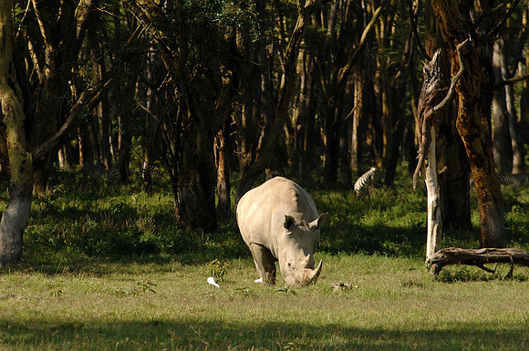 Kenya-LRH_0321