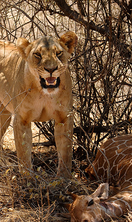 Kenya-LRH_0058